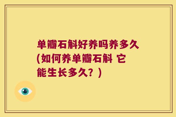 单瓣石斛好养吗养多久(如何养单瓣石斛 它能生长多久？)