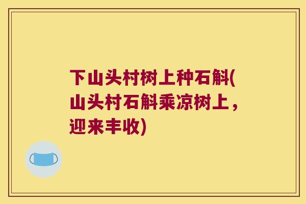 下山头村树上种石斛(山头村石斛乘凉树上，迎来丰收)