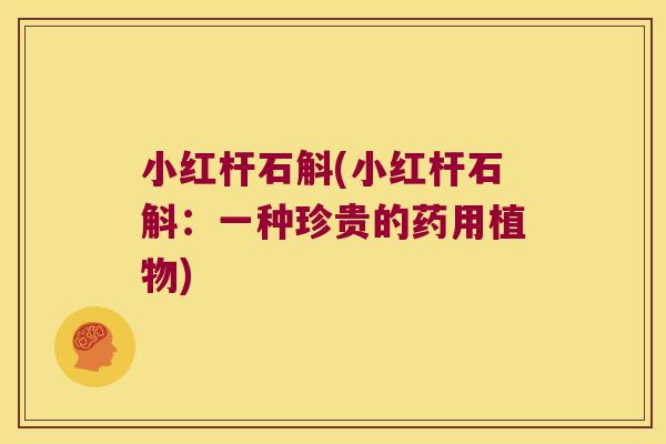 小红杆石斛(小红杆石斛：一种珍贵的药用植物)