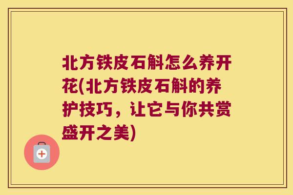 北方铁皮石斛怎么养开花(北方铁皮石斛的养护技巧，让它与你共赏盛开之美)