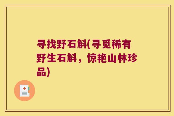 寻找野石斛(寻觅稀有野生石斛，惊艳山林珍品)