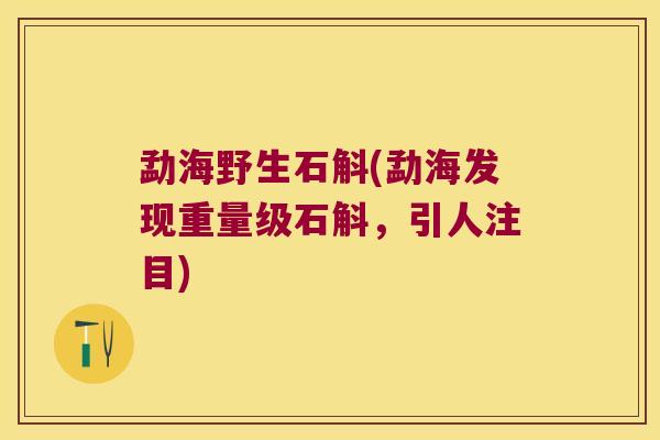 勐海野生石斛(勐海发现重量级石斛，引人注目)