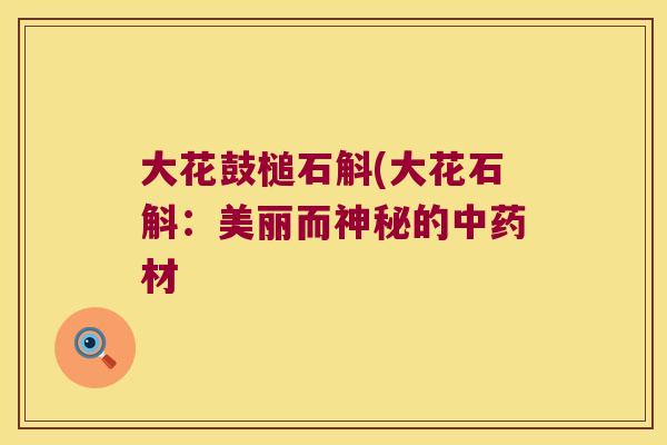 大花鼓槌石斛(大花石斛：美丽而神秘的中药材