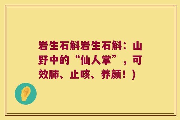 岩生石斛岩生石斛：山野中的“仙人掌”，可效、止咳、养颜！)
