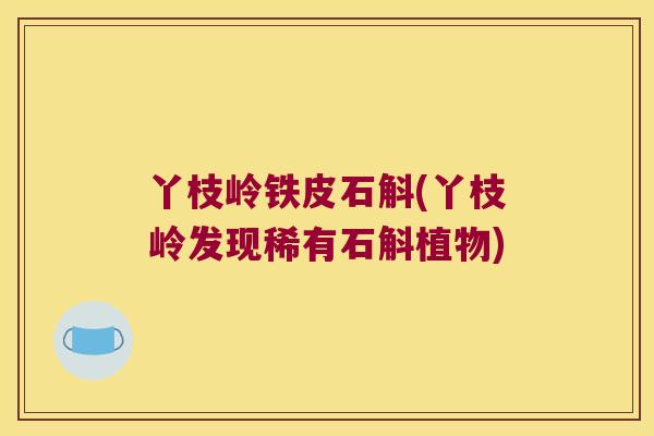 丫枝岭铁皮石斛(丫枝岭发现稀有石斛植物)
