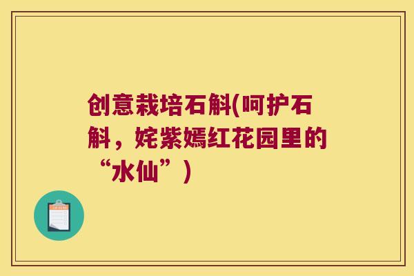 创意栽培石斛(呵护石斛，姹紫嫣红花园里的“水仙”)