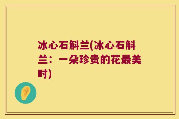 冰心石斛兰(冰心石斛兰：一朵珍贵的花最美时)