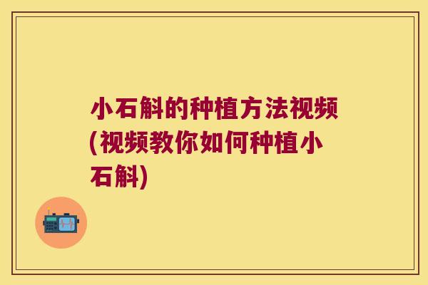 小石斛的种植方法视频(视频教你如何种植小石斛)