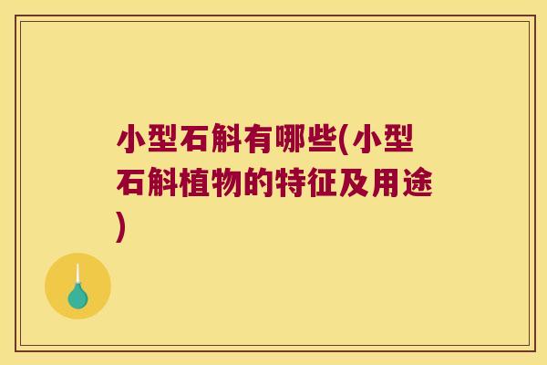 小型石斛有哪些(小型石斛植物的特征及用途)