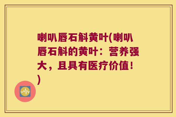 喇叭唇石斛黄叶(喇叭唇石斛的黄叶：营养强大，且具有医疗价值！)