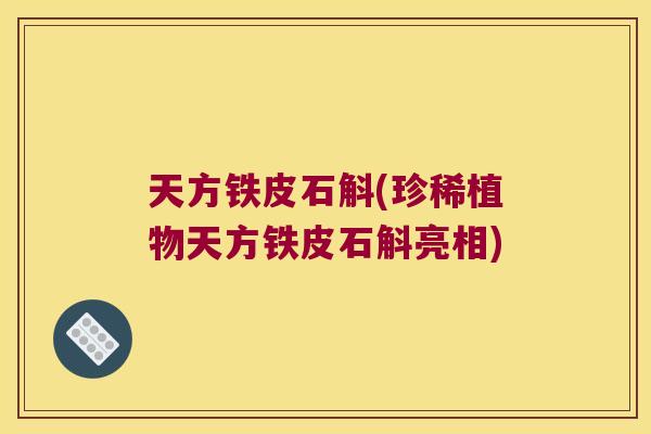 天方铁皮石斛(珍稀植物天方铁皮石斛亮相)