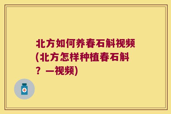 北方如何养春石斛视频(北方怎样种植春石斛?—视频) 北方如何养春石斛视频(北方怎样种植春石斛?—视频)