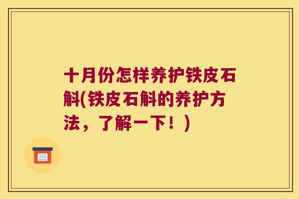十月份怎样养护铁皮石斛(铁皮石斛的养护方法，了解一下！)