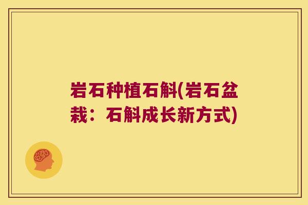 岩石种植石斛(岩石盆栽：石斛成长新方式)