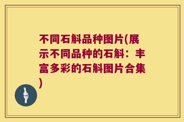 不同石斛品种图片(展示不同品种的石斛：丰富多彩的石斛图片合集)