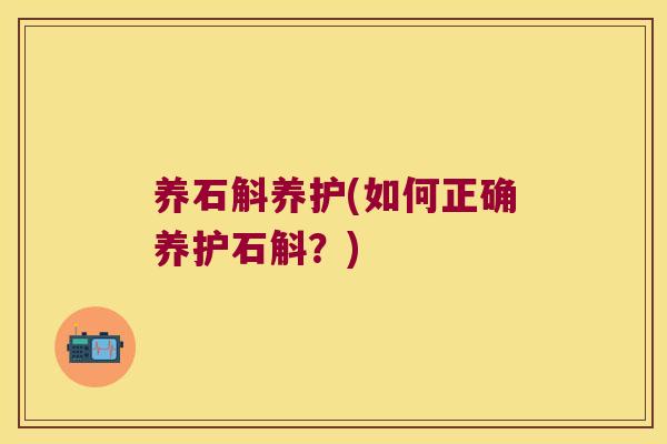 养石斛养护(如何正确养护石斛？)