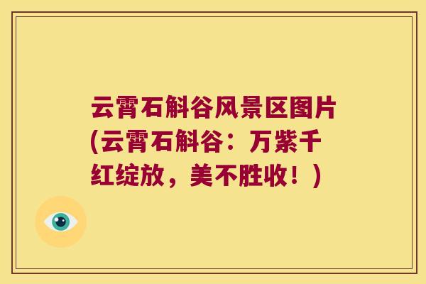 云霄石斛谷风景区图片(云霄石斛谷：万紫千红绽放，美不胜收！)