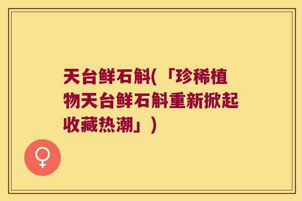 天台鲜石斛(「珍稀植物天台鲜石斛重新掀起收藏热潮」)