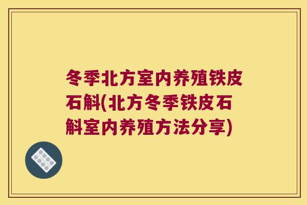 冬季北方室内养殖铁皮石斛(北方冬季铁皮石斛室内养殖方法分享)