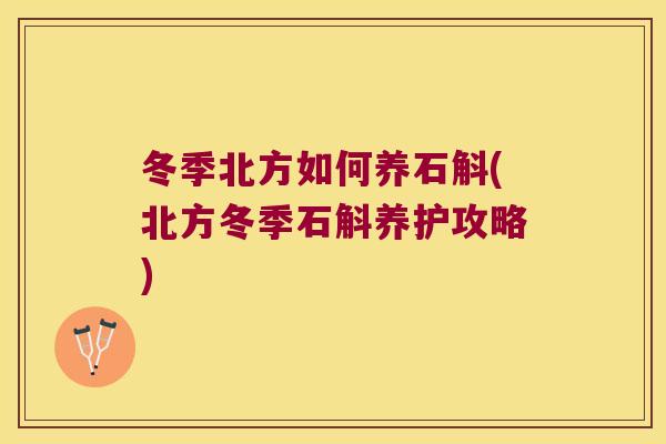 冬季北方如何养石斛(北方冬季石斛养护攻略)