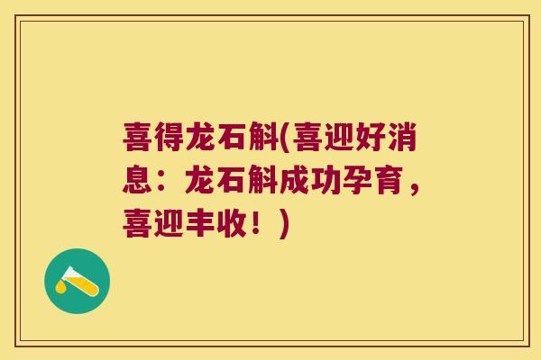 喜得龙石斛(喜迎好消息：龙石斛成功孕育，喜迎丰收！)