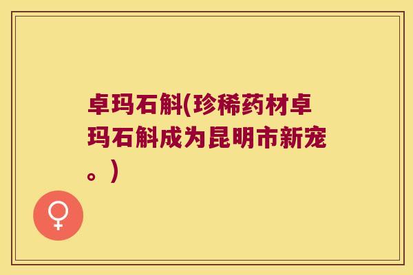 卓玛石斛(珍稀药材卓玛石斛成为昆明市新宠。)