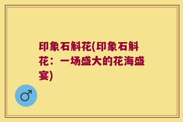 印象石斛花(印象石斛花：一场盛大的花海盛宴)
