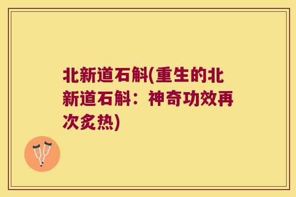 北新道石斛(重生的北新道石斛：神奇功效再次炙热)