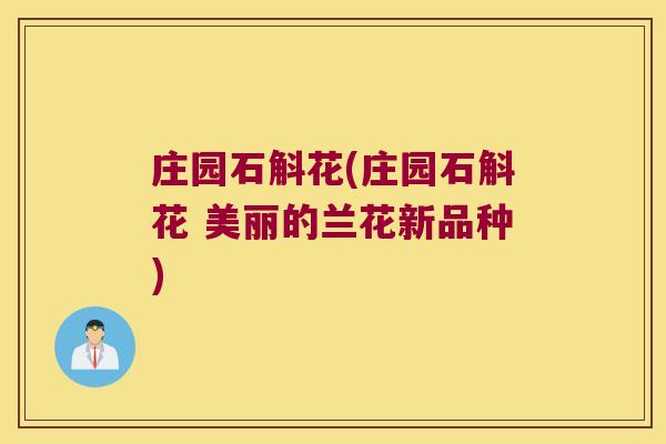 庄园石斛花(庄园石斛花 美丽的兰花新品种) 庄园石斛花(庄园石斛花 美丽的兰花新品种)