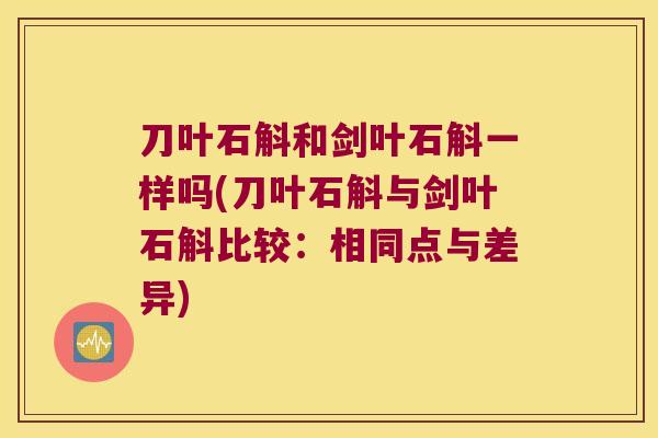 刀叶石斛和剑叶石斛一样吗(刀叶石斛与剑叶石斛比较：相同点与差异)