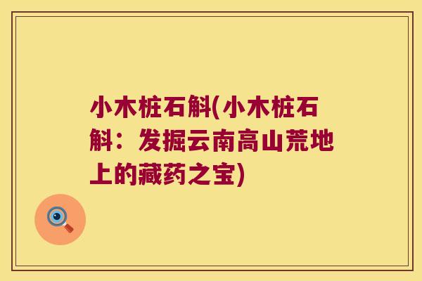 小木桩石斛(小木桩石斛：发掘云南高山荒地上的藏药之宝)