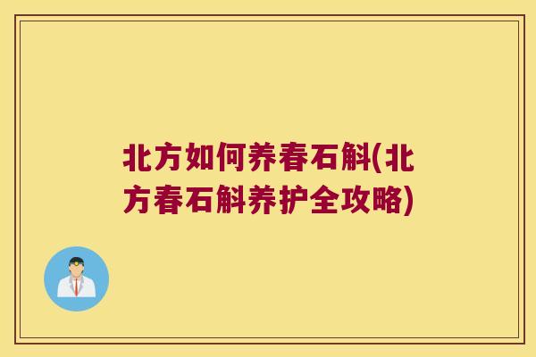 北方如何养春石斛(北方春石斛养护全攻略)