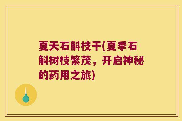 夏天石斛枝干(夏季石斛树枝繁茂，开启神秘的药用之旅)
