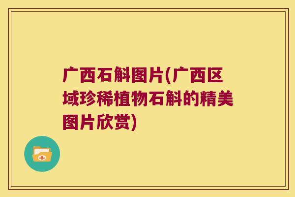 广西石斛图片(广西区域珍稀植物石斛的精美图片欣赏)