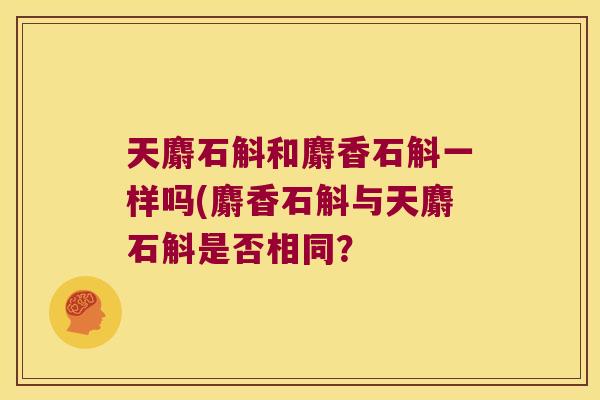 天麝石斛和麝香石斛一样吗(麝香石斛与天麝石斛是否相同？
