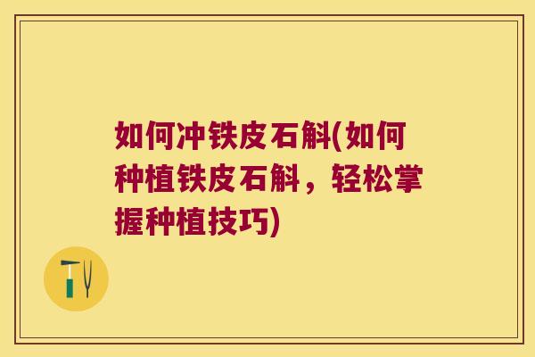 如何冲铁皮石斛(如何种植铁皮石斛,轻松掌握种植技巧) 如何冲铁皮石斛(如何种植铁皮石斛,轻松掌握种植技巧)