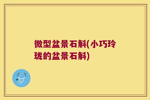 微型盆景石斛(小巧玲珑的盆景石斛)