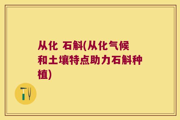 从化 石斛(从化气候和土壤特点助力石斛种植)