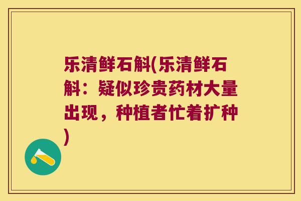 乐清鲜石斛(乐清鲜石斛：疑似珍贵药材大量出现，种植者忙着扩种)