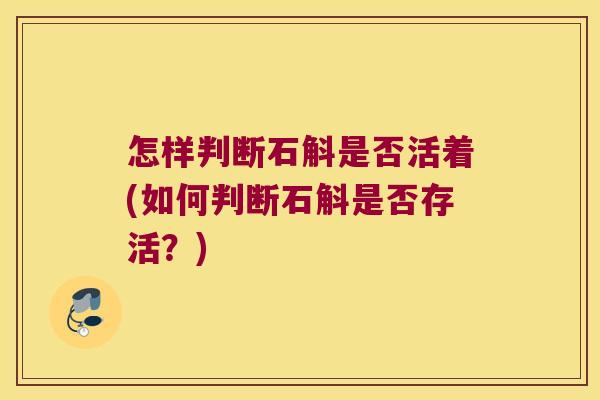 怎样判断石斛是否活着(如何判断石斛是否存活？)
