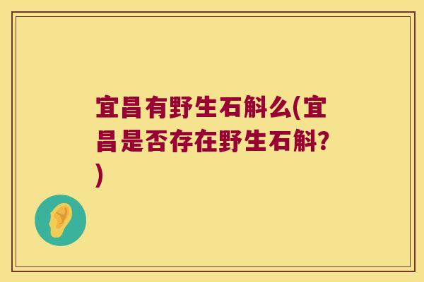 宜昌有野生石斛么(宜昌是否存在野生石斛？)