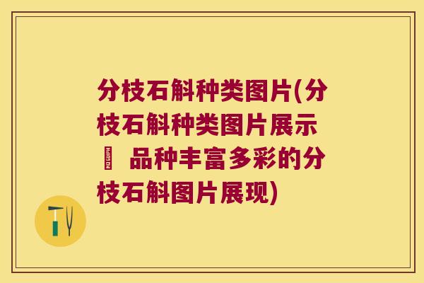 分枝石斛种类图片(分枝石斛种类图片展示 – 品种丰富多彩的分枝石斛图片展现)