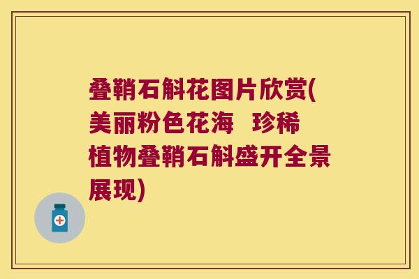 叠鞘石斛花图片欣赏(美丽粉色花海 珍稀植物叠鞘石斛盛开全景展现) 叠鞘石斛花图片欣赏(美丽粉色花海 珍稀植物叠鞘石斛盛开全景展现)