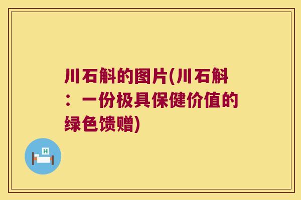 川石斛的图片(川石斛：一份极具保健价值的绿色馈赠)
