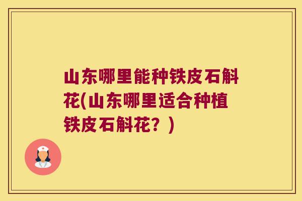 山东哪里能种铁皮石斛花(山东哪里适合种植铁皮石斛花？)