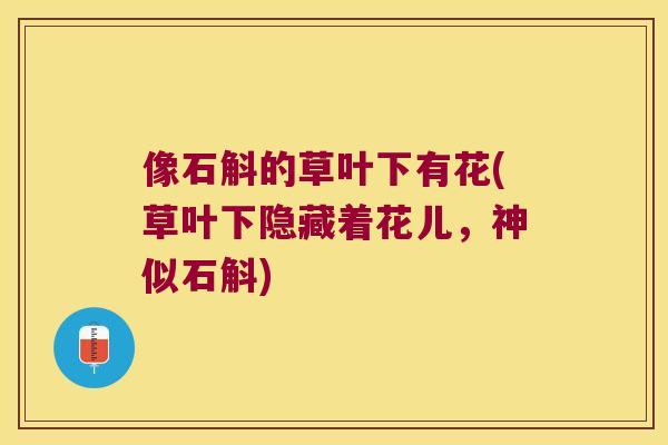 像石斛的草叶下有花(草叶下隐藏着花儿,神似石斛) 像石斛的草叶下有花(草叶下隐藏着花儿,神似石斛)
