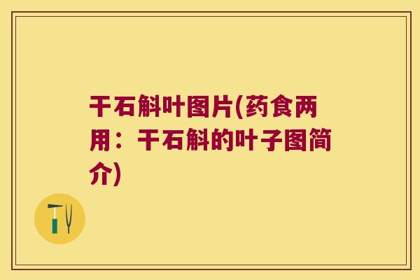 干石斛叶图片(药食两用：干石斛的叶子图简介)