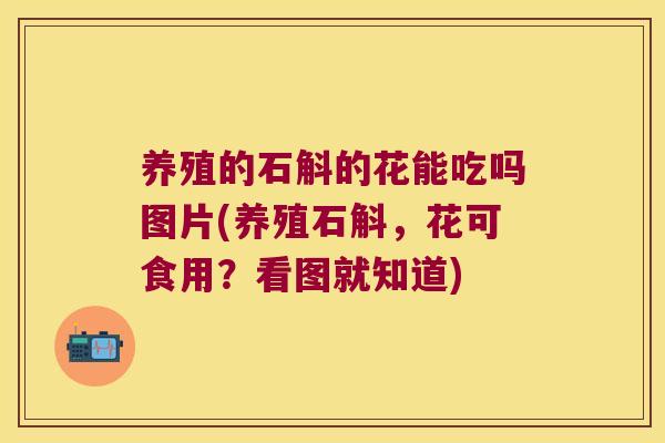 养殖的石斛的花能吃吗图片(养殖石斛，花可食用？看图就知道)
