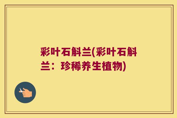 彩叶石斛兰(彩叶石斛兰：珍稀养生植物)