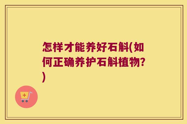 怎样才能养好石斛(如何正确养护石斛植物？)